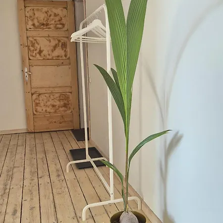 Apartment Comfortable In Center Riga